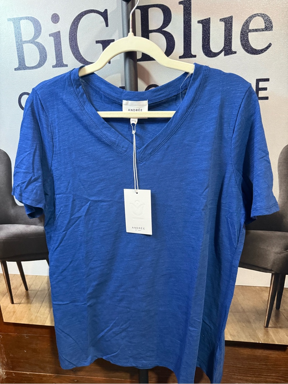 Women’s  V-Neck Shirt — Blue